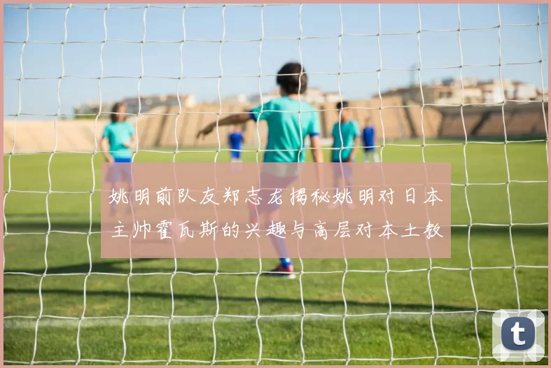 姚明前队友郑志龙揭秘姚明对日本主帅霍瓦斯的兴趣与高层对本土教练的偏好